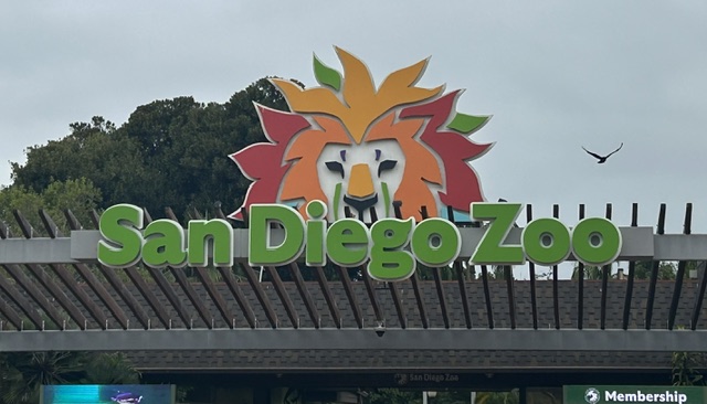 Family Vacation to San Diego - San Diego Zoo
