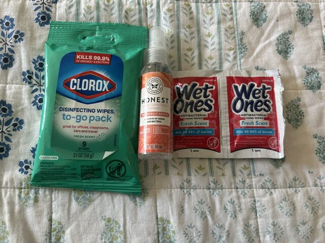 Mom's personal item essentials - sanitizer